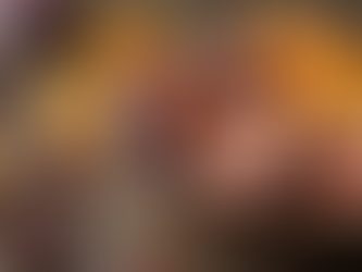 Exploring Turkey's Finest Dried Fruits for Export