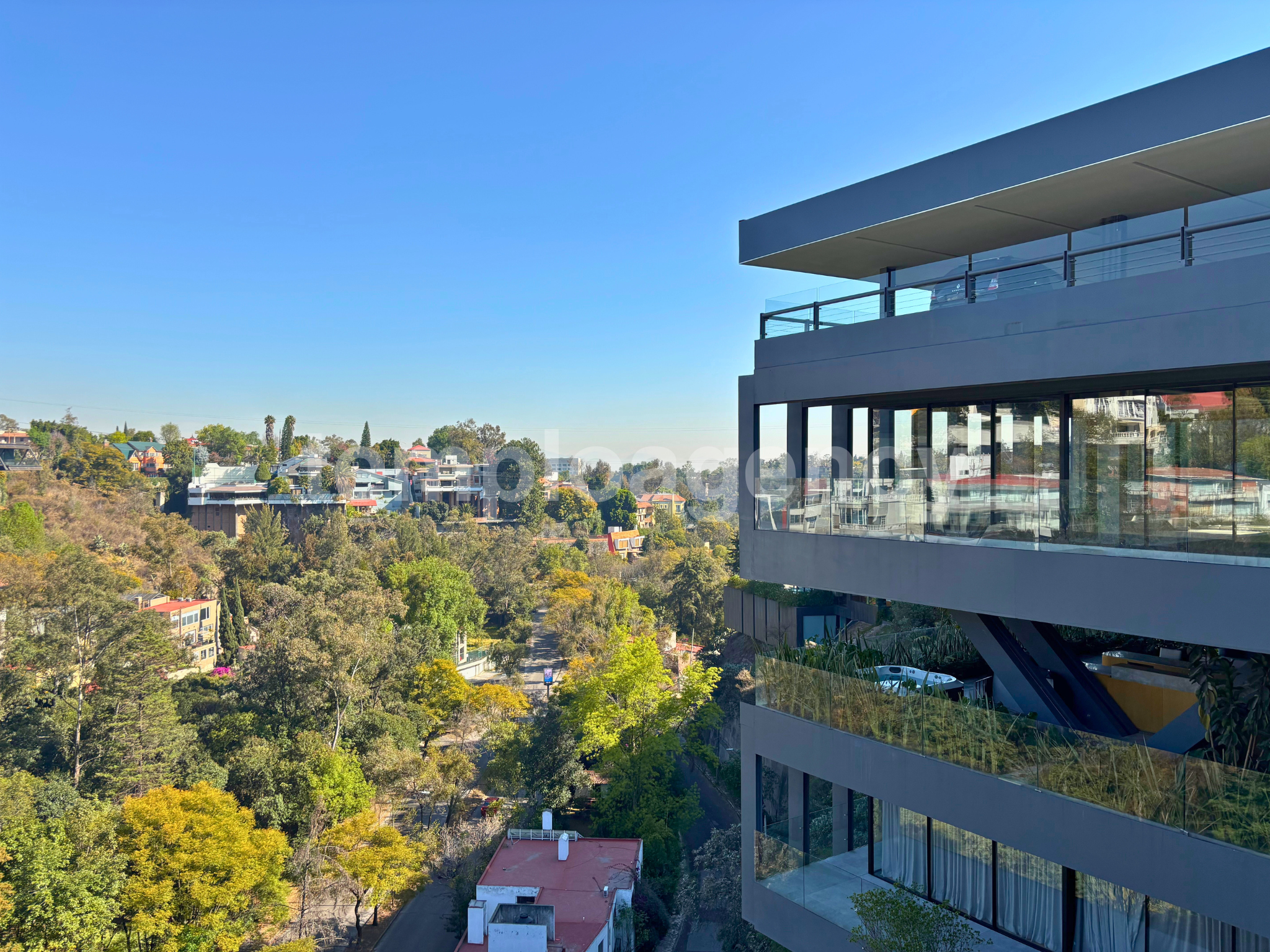 Vista exterior de Palacio Versalles 255, con terrazas y ventanales hacia el entorno arbolado de Lomas de Reforma.