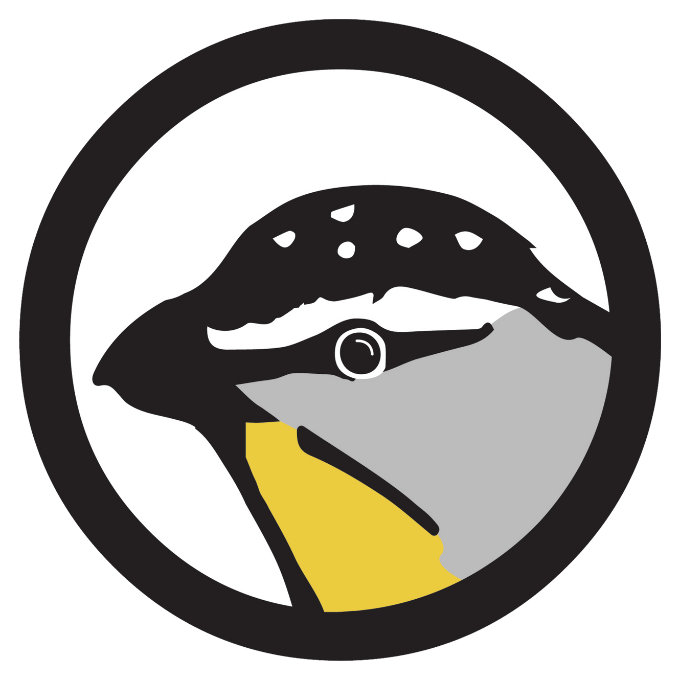 Ethical Birding Guidelines BirdingSydney Beyond ethical-birding-guidelines-birdingsydney-beyond