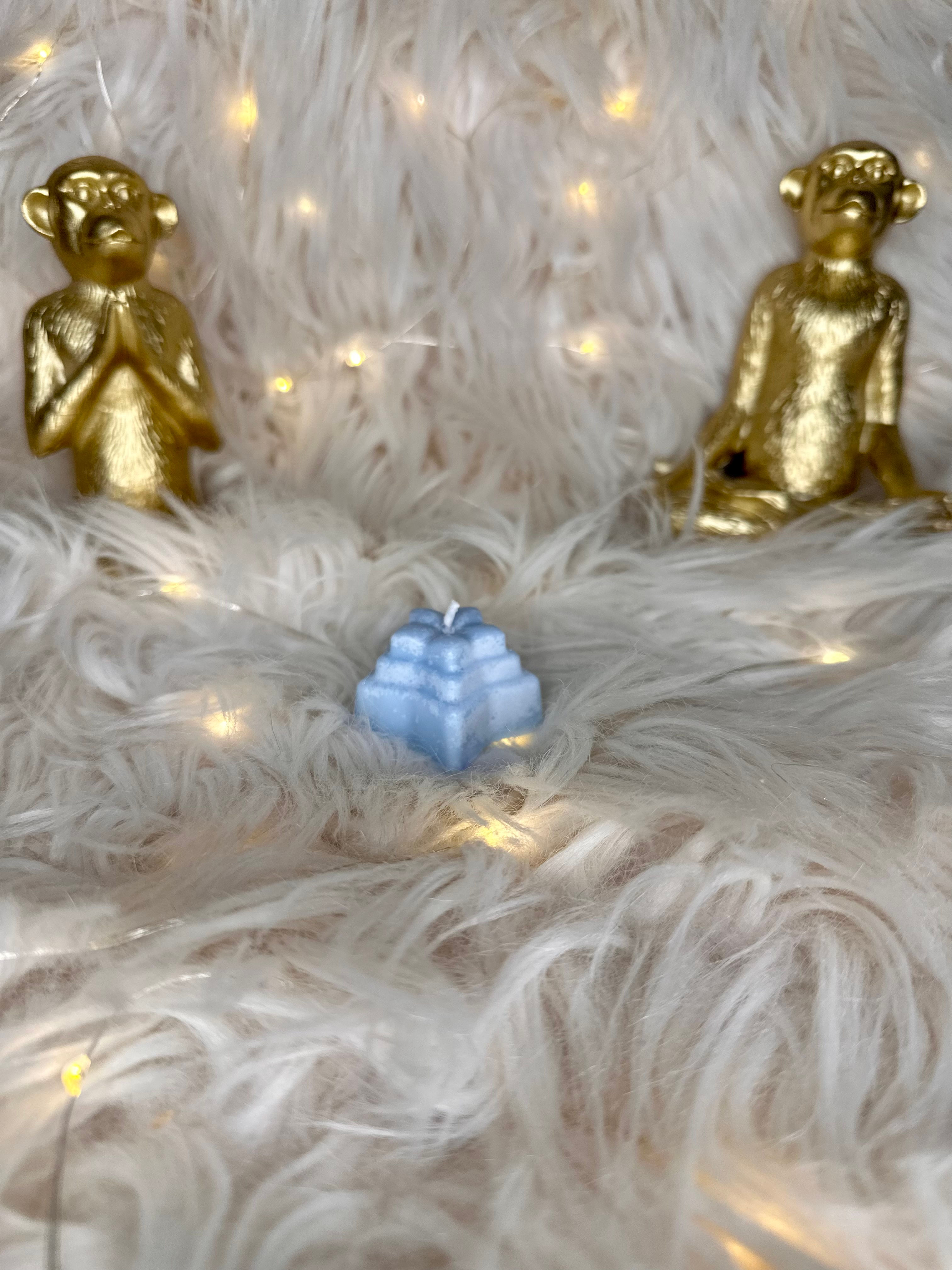 Bougie étoile, gardenia