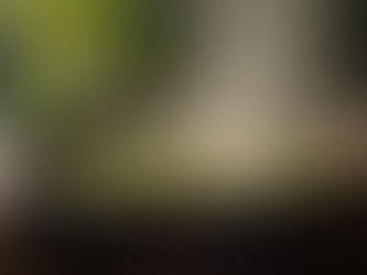 Rituais para Prosperidade: Atraia Prosperidade com Banhos de Ervas