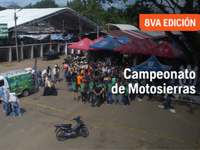 Campeonatos de Motosierras: destreza en acción