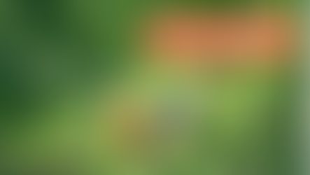 Capacitación en tendencias de áreas verdes