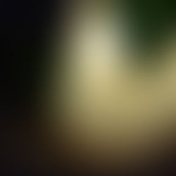 ONE / Drishti & the Waves