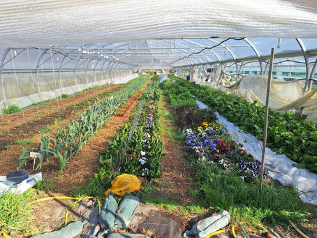 Des nouvelles de la ferme des prés neufs