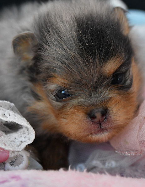 DSC_9562.JPG