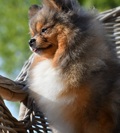 DSC_5180.JPG