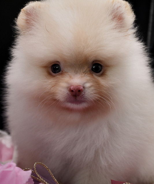DSC_9145_edited.jpg