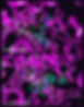 Figure 4: (top) A. Propranolol in complex with β1-AR. (bottom) B. Crucible optimized lead in complex with β1-AR. Two slightly different camera angles were used in A and B to better show atom proximity and therefore intermolecular interactions. Hydrogen bonding interactions are shown with a solid green line. In A, hydrogen bonding interactions using the ligand -OH and -NH- are present. In B, upon close inspection there are three hydrogen bonding interaction which might suggest significantly stronger binding.