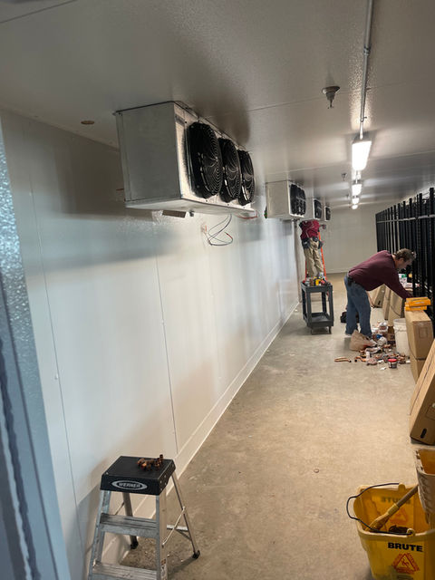 Cold storage room with wall-mounted refrigeration and worker.