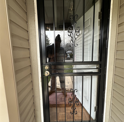 Security Doors
