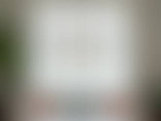 Exploring the Versatile Designs of Plantation Shutters