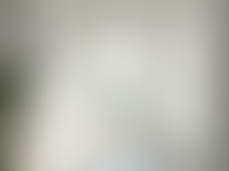 Best Top Window Shutters UK: A Guide to Stylish and Functional Shutters