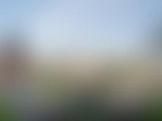 3000+ s/f & Amazing Views in Petaluma!