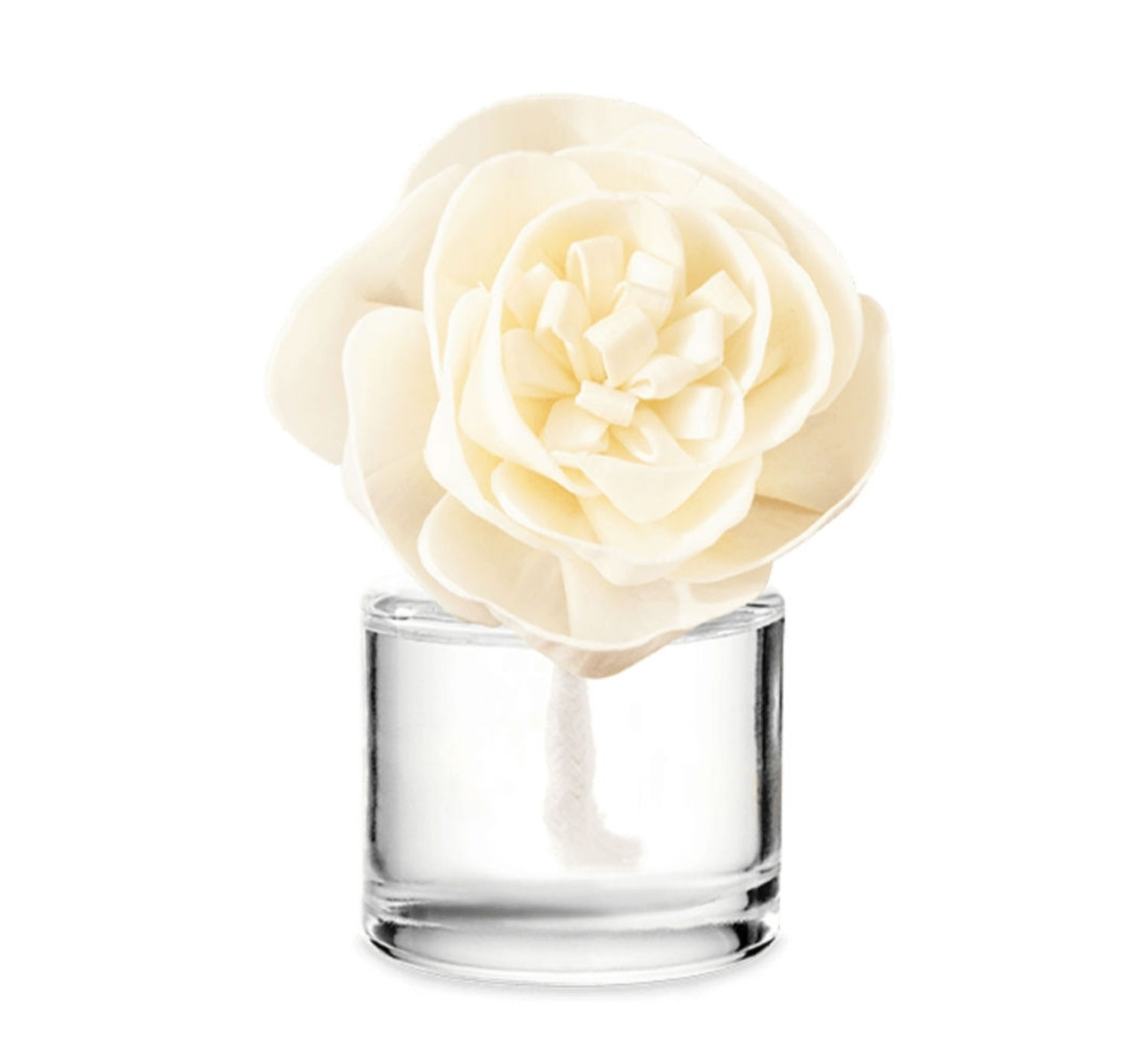 Blue Grotto – Buttercup Belle Fragrance Flower