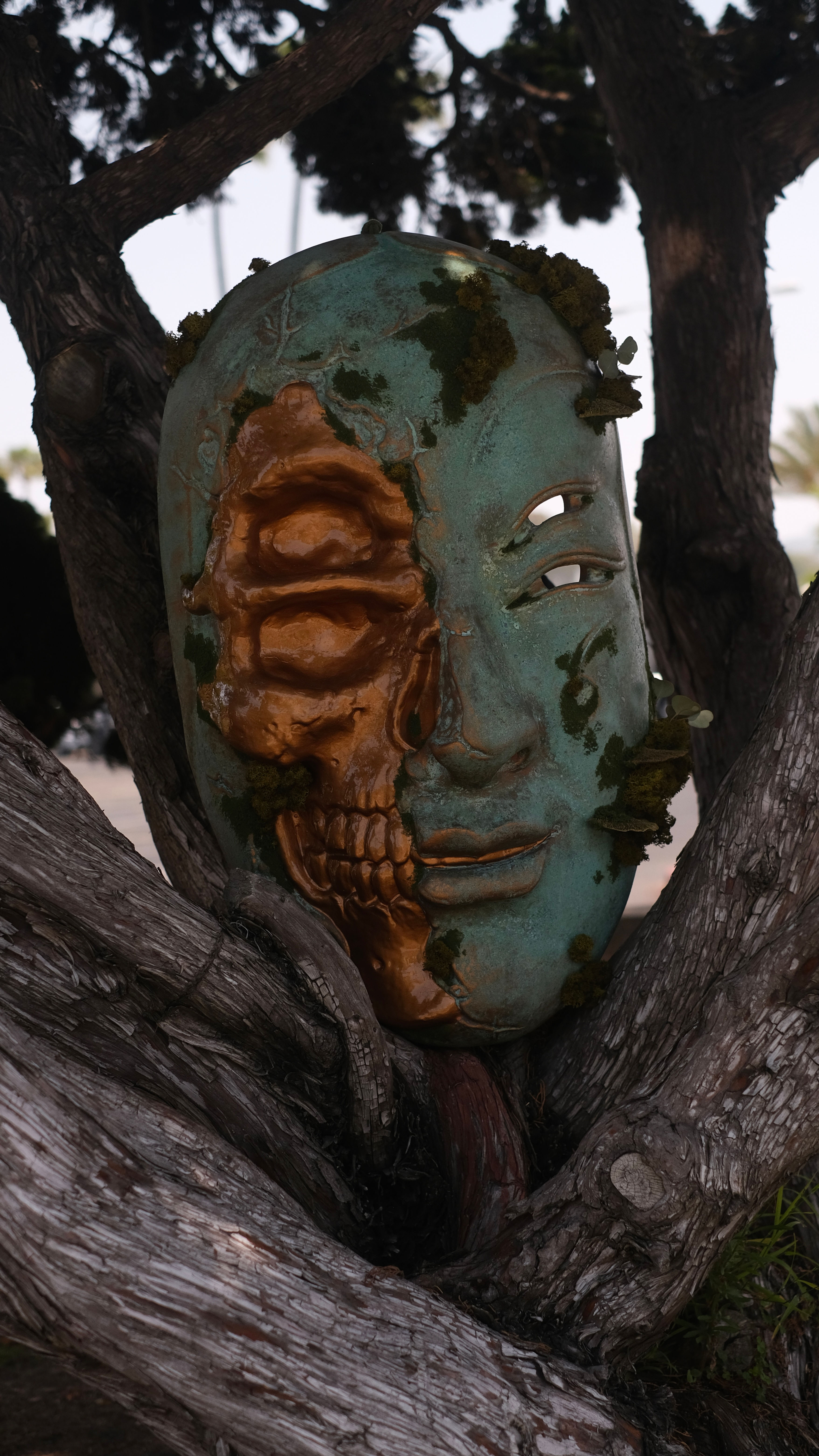 БОЛЬШОЙ ШИРОКИЙ ВИД ТЕНЕЙ ГЕЙШИ