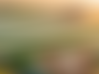 Best Agriculture Net Suppliers in USA for Organic Farming Needs