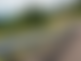 Top 15 Wholesale Guardrail Suppliers for Bridge & Median Barriers