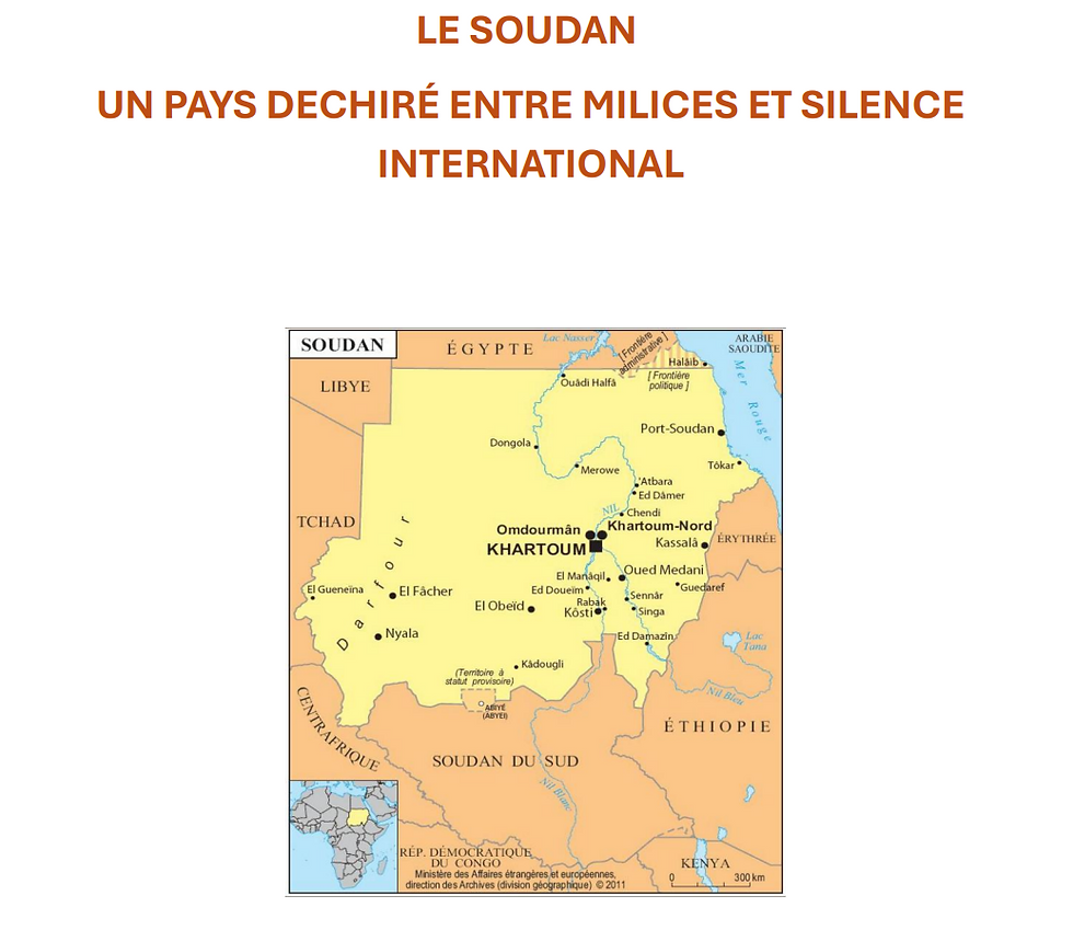 Le Soudan : pays déchiré entre milices et silence international