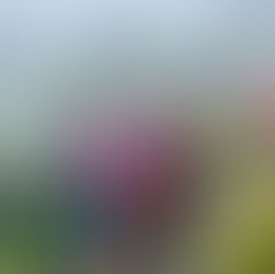 愛知県   永井 由美子さま