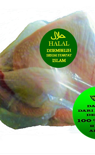 Daging Kalkun Halal Utuh Segar 5 KG (Fresh Whole Turkey)