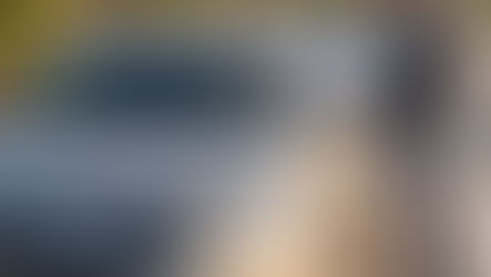 REVE: Tutto quello che devi sapere.