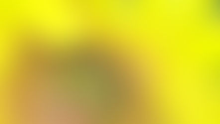 NOTA DE ESCLARECIMENTO SOBRE O USO DOS FLORAIS EM SITUAÇÕES DE PANDEMIA
