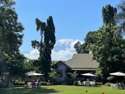 Mount Kilimanjaro being a cafe.