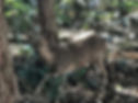 image3.jpeg