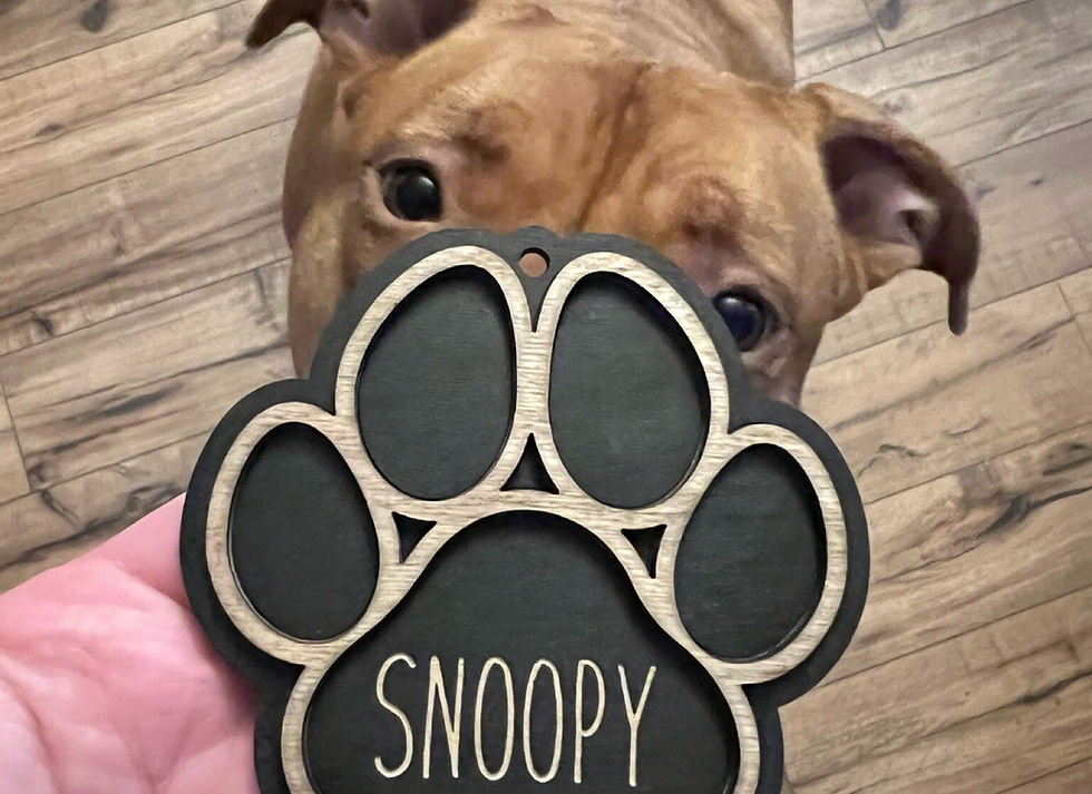 Thumbnail: Personalized Pet Paw Print Ornament