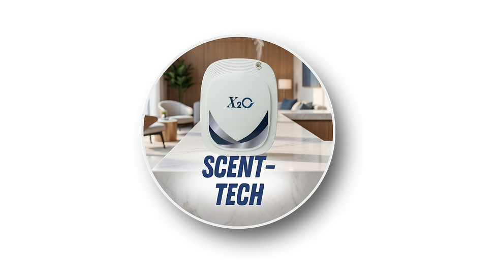 iClean Oorsig (1).png