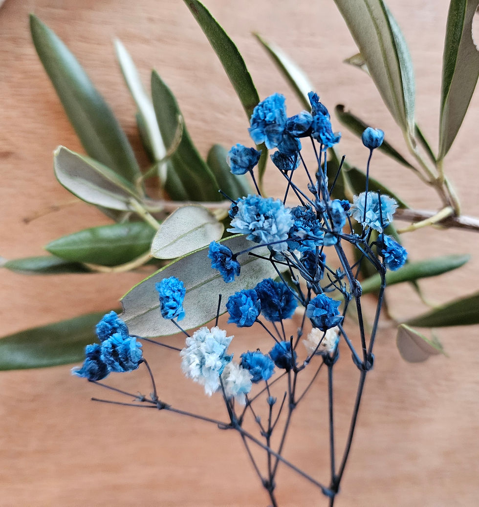 Miniaturbild: Olivenkranz