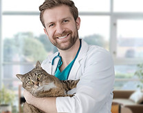 Visita al veterinario