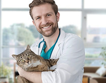 Visita al veterinario