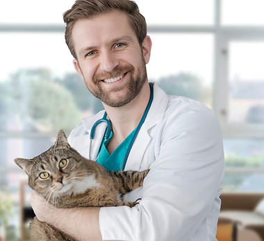 Visita dal veterinario