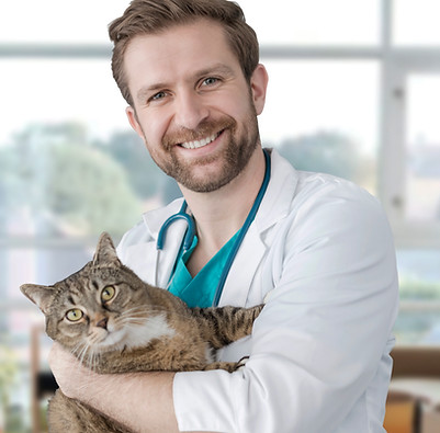 Visit to the Vet