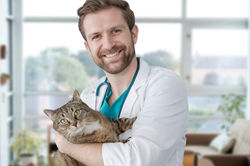 Visita ao veterinário
