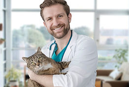 Visit to the Vet