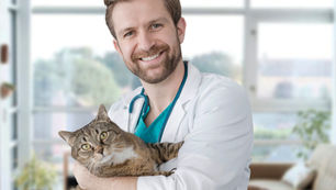 $1.1M Business Line of Credit & Expansion Financing for Veterinary Hospital in Burnaby, BC
