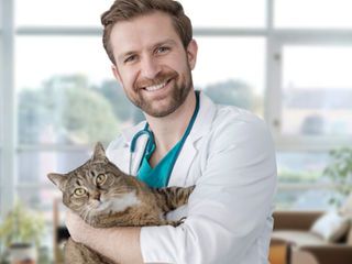 Veterinary Malpractice