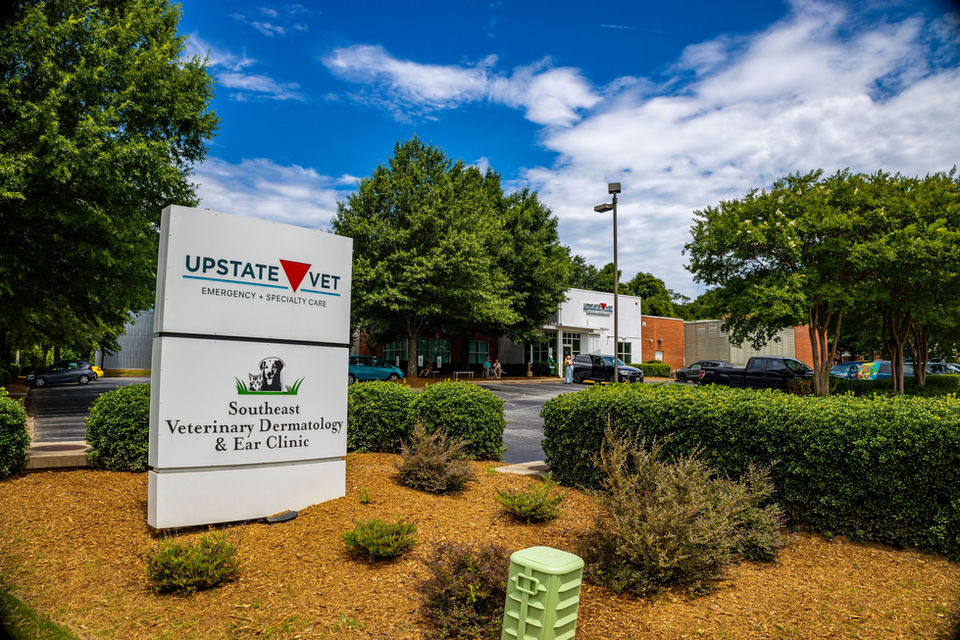UPSTATE VETERINARY