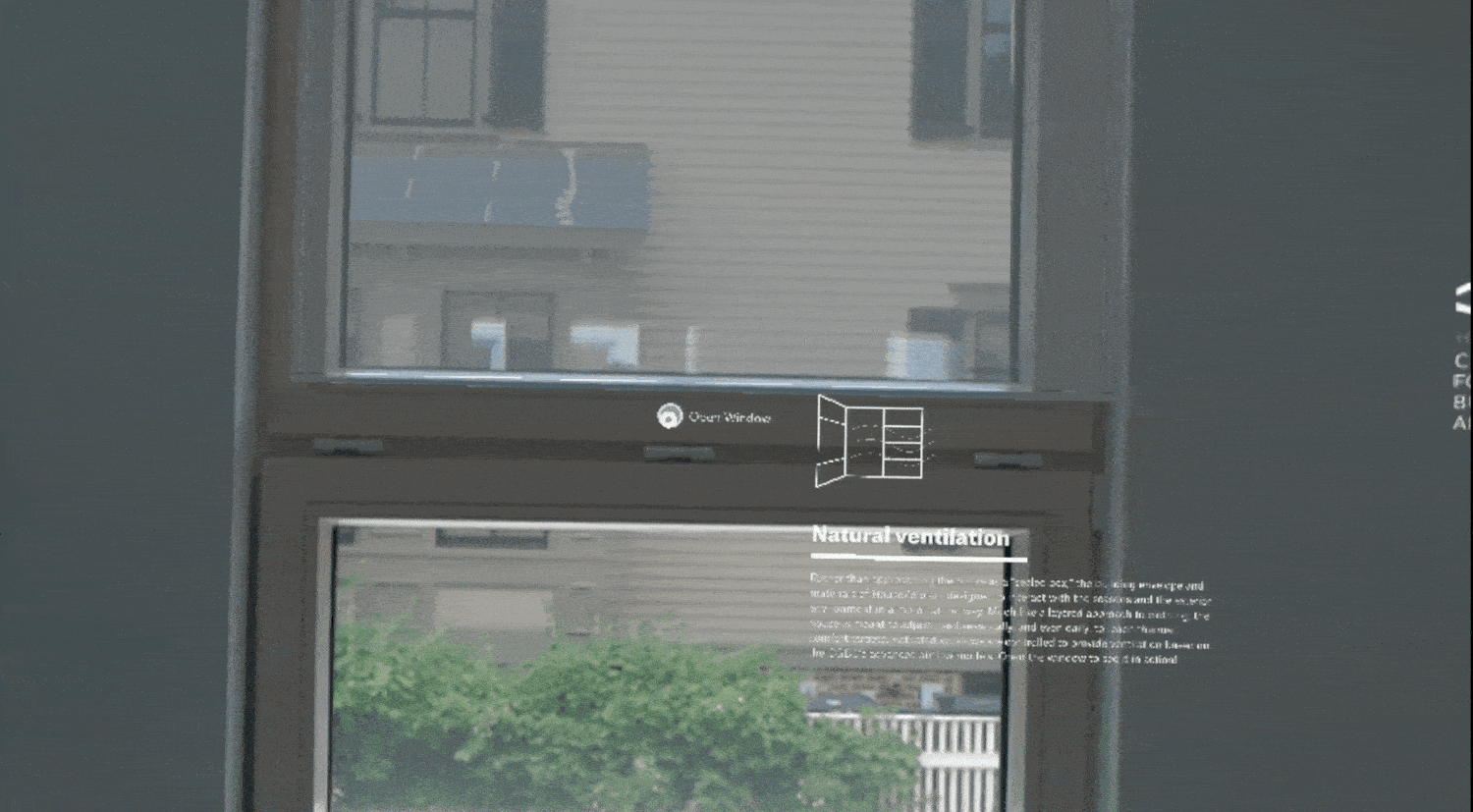 image-asset.gif