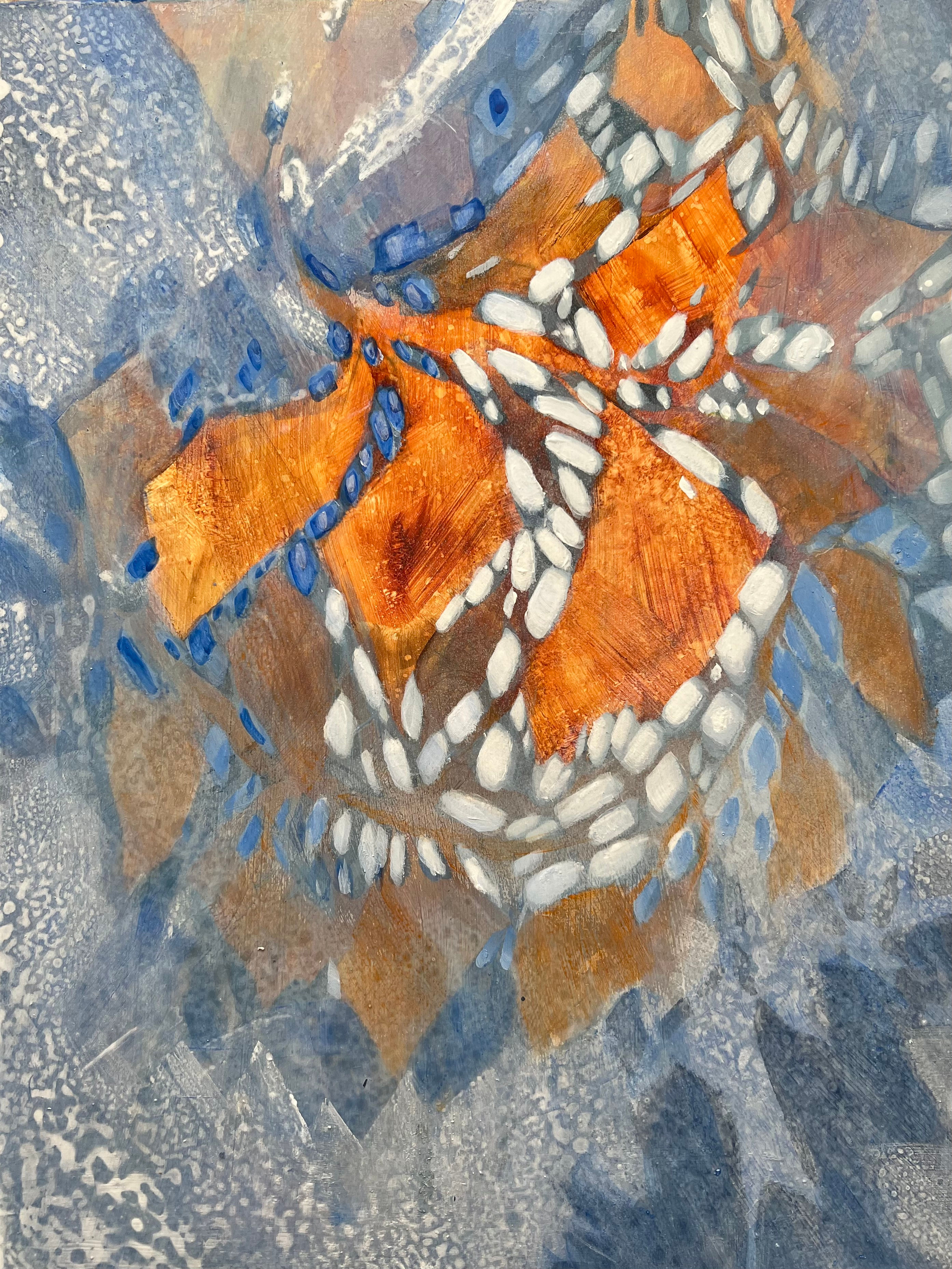 Nature's Dreamcatcher