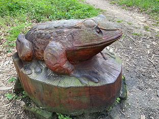 Toad.jpeg