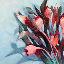 Tulips in the Mist