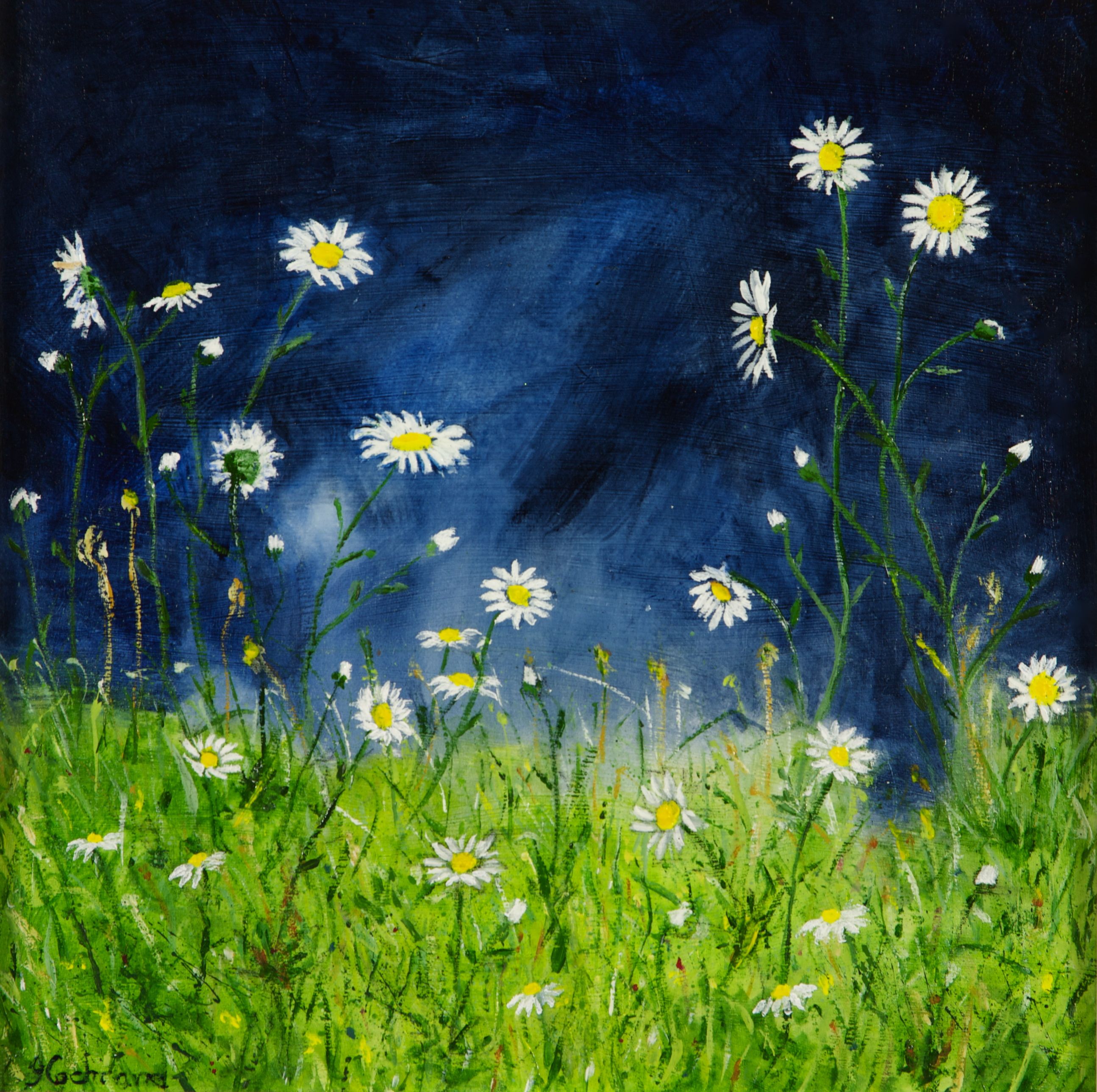 Moody Moon Daisies