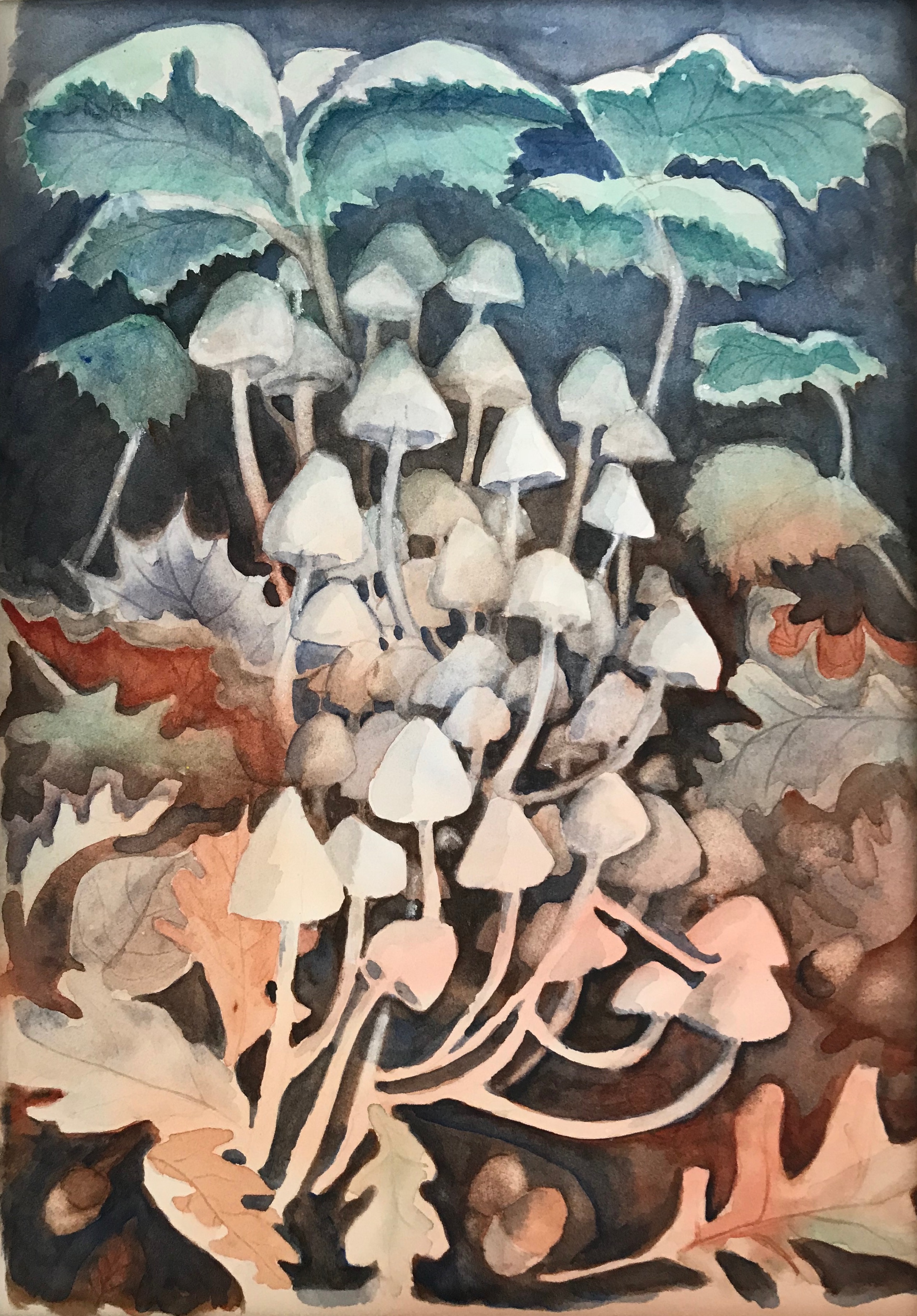 Toadstool Cluster