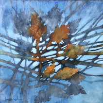 (Sm)oak on Water