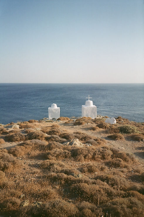 25380026.JPG