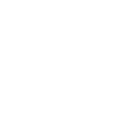 Animals Design